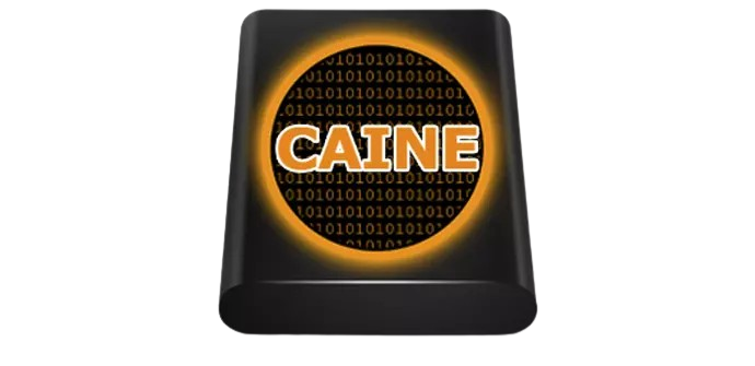 CAINE Logo